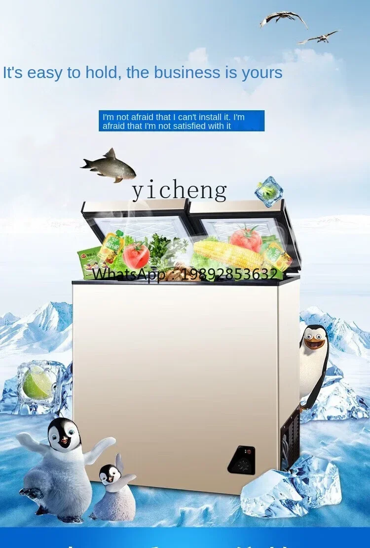 Food Storage Temperature - Congelatore Domestico Compatto a Basso Consumo