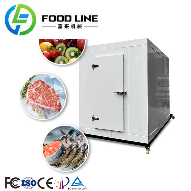 Food Storage Temperature - Cella Frigorifera Commerciale Mobile Personalizzata a