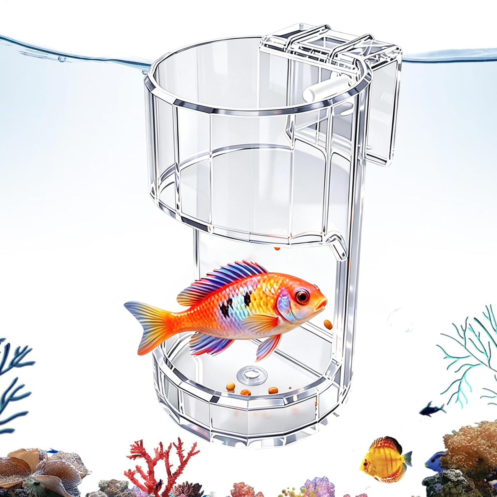 Food Storage Room - Ciotola Trasparente per Acquario, Contenitore Porta