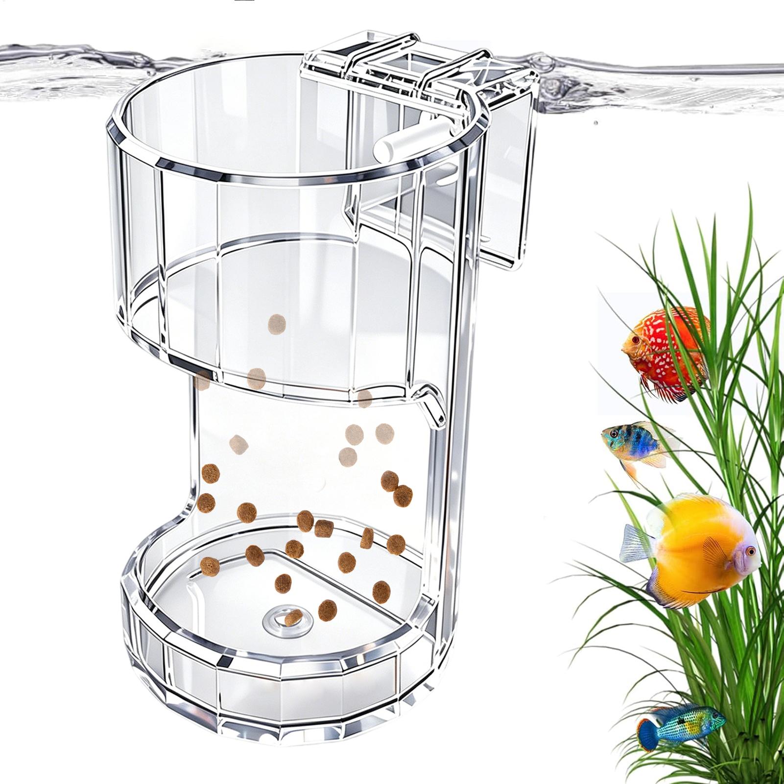 Ciotola Trasparente per Acquar - Food Storage Room recensione e prezzo