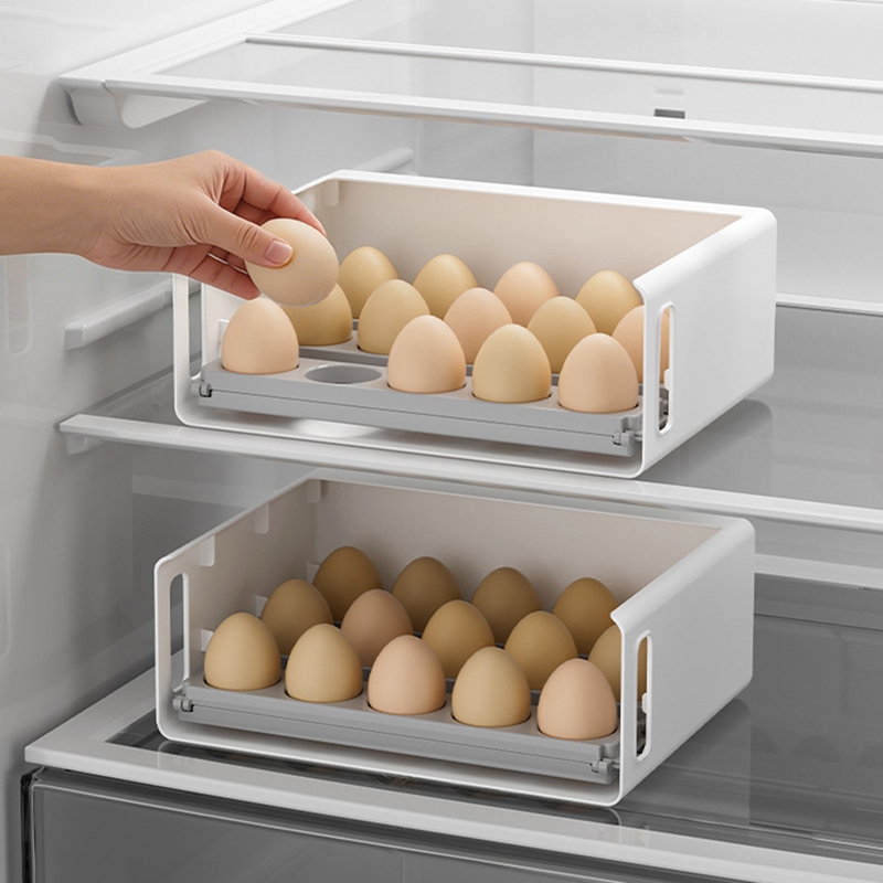 DT39 Contenitore Pieghevole pe - Egg Storage Holder recensione e prezzo