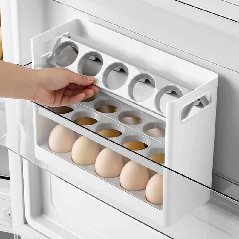 DT39 Contenitore Pieghevole pe - Egg Storage Holder recensione e prezzo