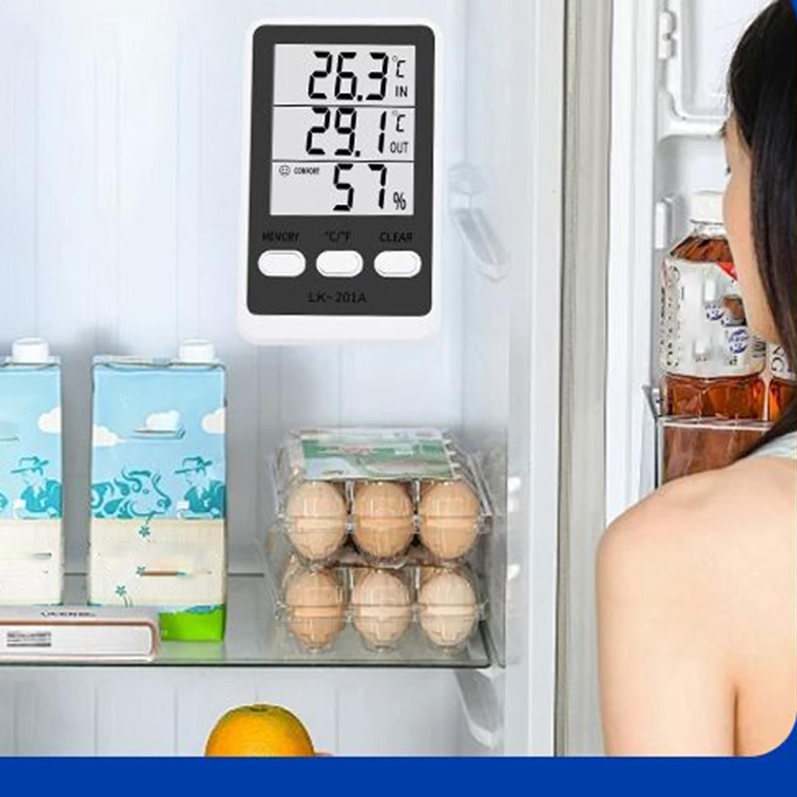 Misuratore di temperatura del  - Food Storage Temperature recensione e prezzo