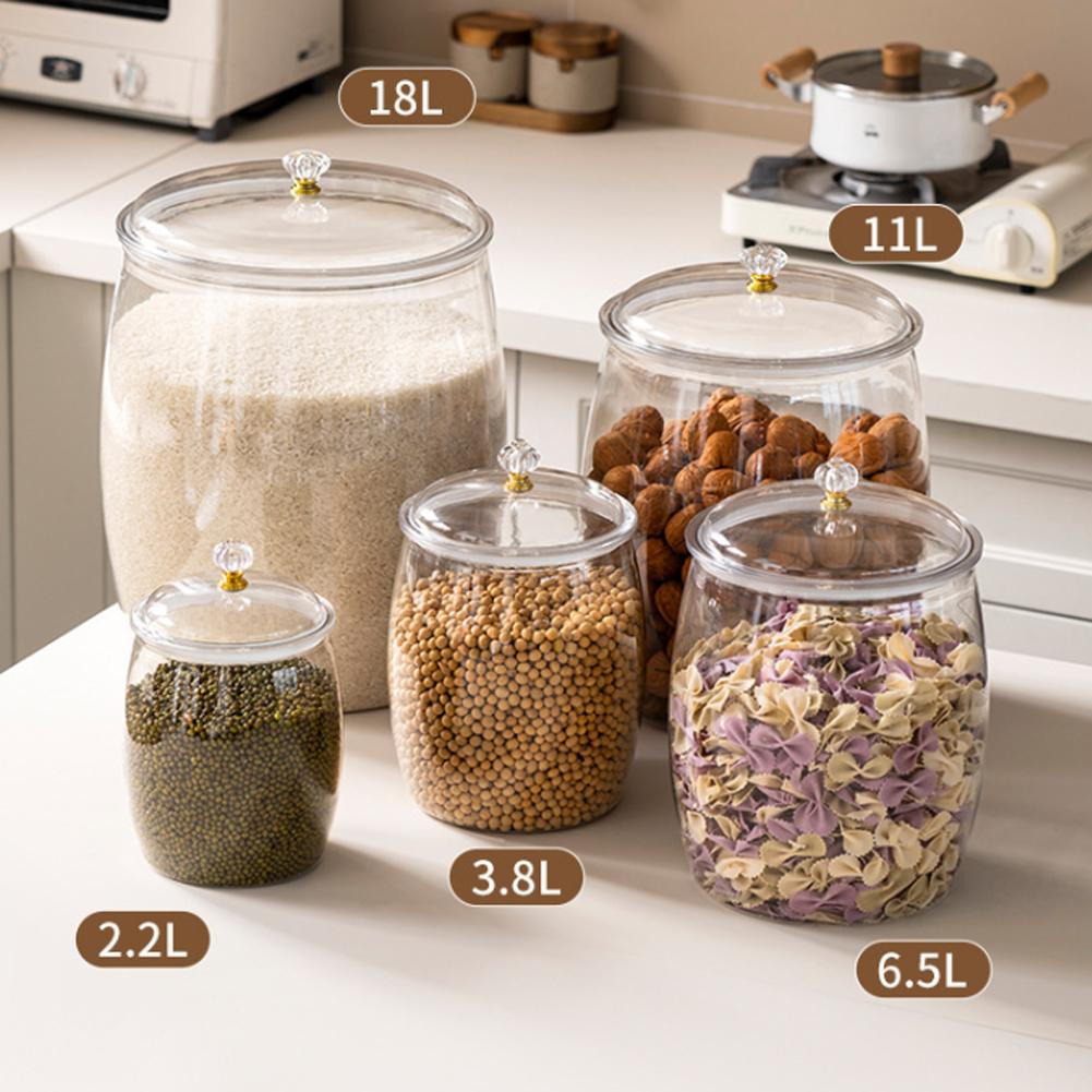 Grande Contenitore Trasparente - Food Storage With Lids recensione e prezzo