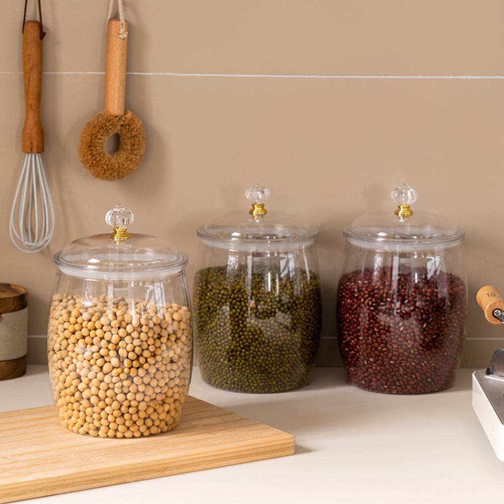 Grande Contenitore Trasparente - Food Storage With Lids recensione e prezzo