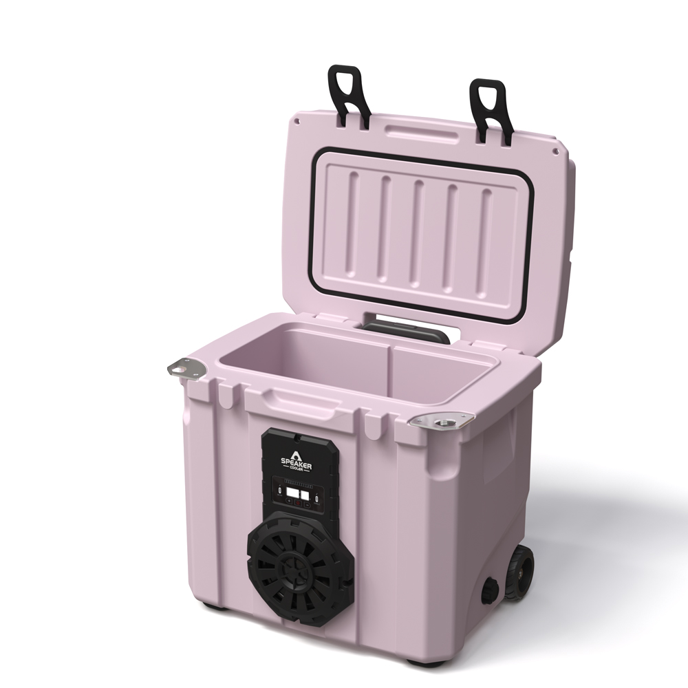 Borsa Frigo Portatile da 35L c - Food Storage For recensione e prezzo