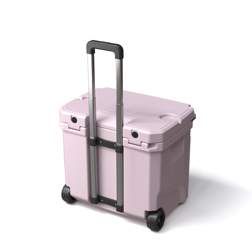 Borsa Frigo Portatile da 35L c - Food Storage For recensione e prezzo