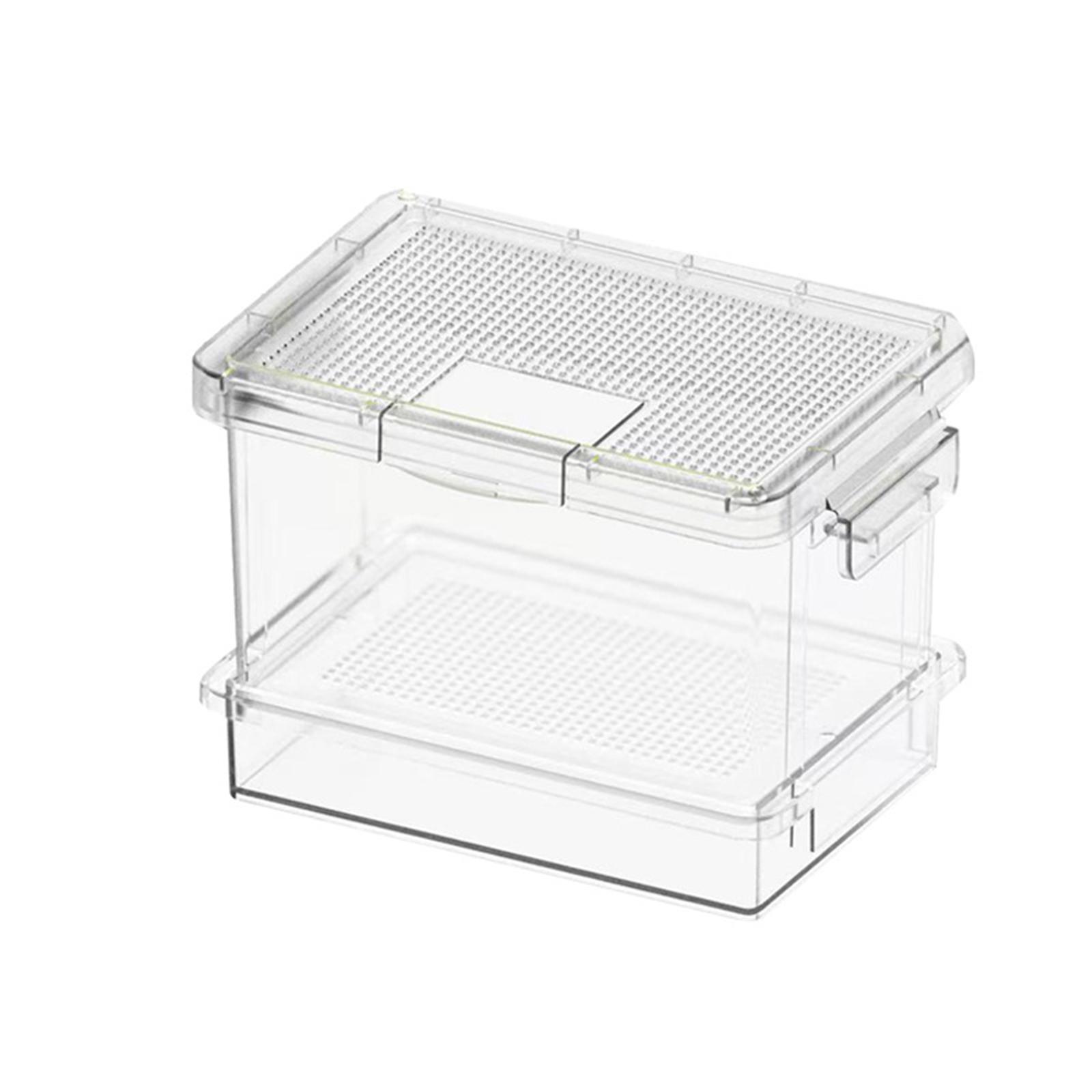 Alimentatore in plastica per t - Food Storage Small recensione e prezzo