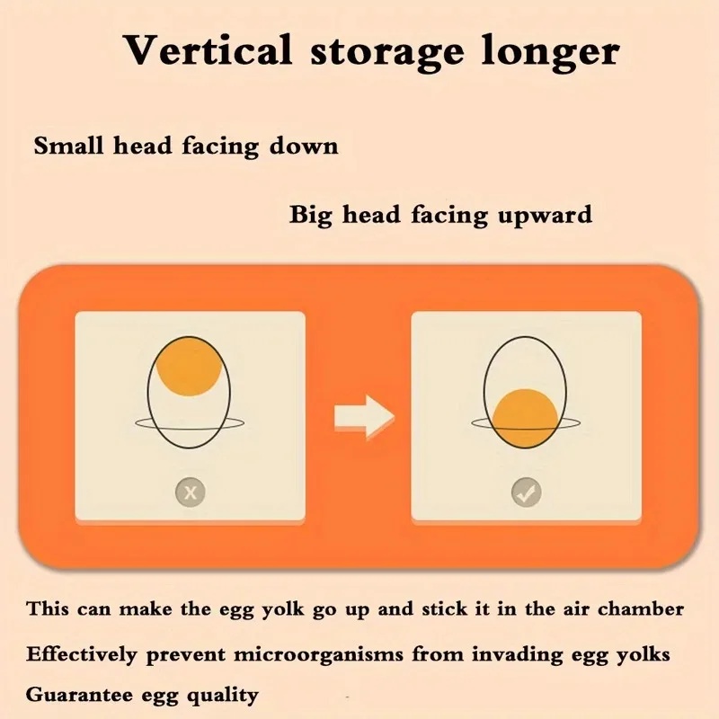 Contenitore per Uova da Cucina - Egg Storage Holder recensione e prezzo