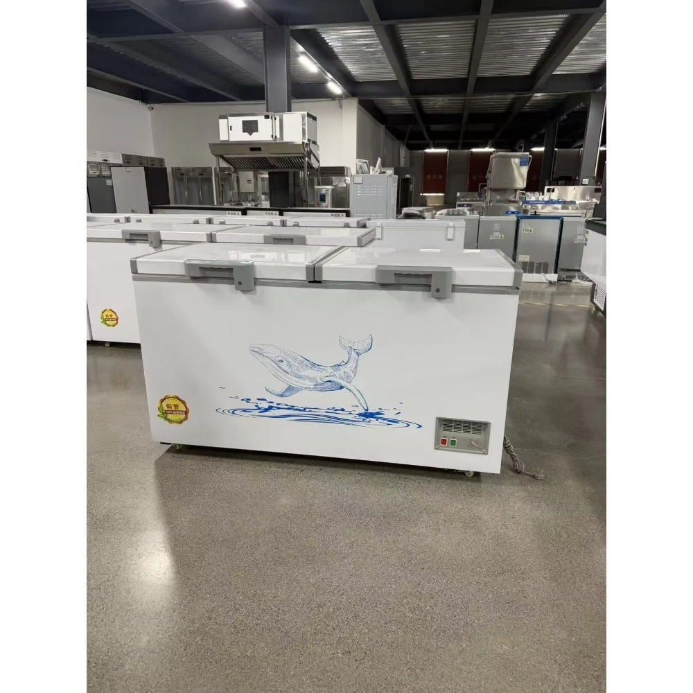 Congelatore Orizzontale Person - Food Storage Freezer recensione e prezzo
